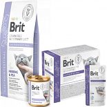 Brit GF VD Kattenvoer Gastrointestinal 2 kg