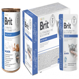 Brit GF VD Kattenvoer Recovery 12 x 85 gr