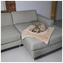 Hoopo Kattenmand Flip Bruin