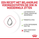 Royal Canin Kattenvoer Babycat Milk 300 gr