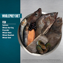 Orijen Hondenvoer Adult Small Breed Marine Fish 1,8 kg