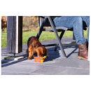 Beeztees Reis Voer- en Drinkbak Rua Rood<br> 750 ml