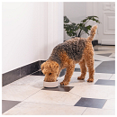 Designed by Lotte Voer- en Drinkbak Noor Bamboo Beige