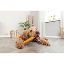 TRIXIE Denta Fun Roll 165 gr