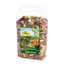 JR Farm Garden Eekhoornfeest 600 gr