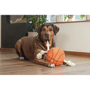 Beeztees Basketbal met Touw