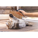 Beeztees Kitten Massageborstel Terracotta