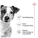 Royal Canin Hondenvoer Mini Adult Loaf 195 gr