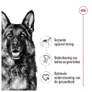 Royal Canin Hondenvoer Maxi Adult Loaf 410 gr