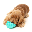 FuzzYard Interactief Kauwspeelgoed Knuckle Sandwich