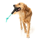 FuzzYard Interactief Kauwspeelgoed Mic Drop