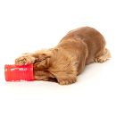 FuzzYard Interactief Kauwspeelgoed Pina Coolada Freeze