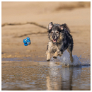 Beeztees Fetch Foam Atoom Blauw