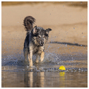 Beeztees Fetch Foam Rugbybal Algo Geel