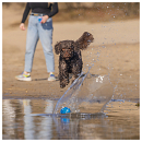 Beeztees Fetch Foam Rugbybal Algo Blauw