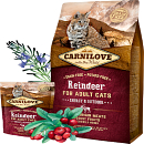 Carnilove Reindeer Energy & Outdoor <br>400 gr