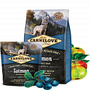 Carnilove Salmon Adult 4 kg