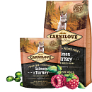 Carnilove Salmon & Turkey Puppy Large 4 kg