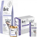 Brit GF VD Kattenvoer Gastrointestinal 2 kg