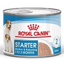 Royal Canin Hondenvoer Starter Mousse 195 gr