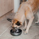 District 70 Voer- en Drinkbak Royal Antraciet