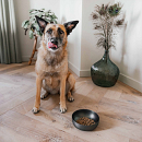 District 70 Voer- en Drinkbak Royal Antraciet