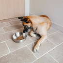 District 70 Voer- en Drinkbak Royal Silver