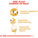 Royal Canin Kattenvoer Siamese Adult 400 gr