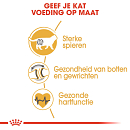 Royal Canin Kattenvoer British Shorthair Adult 400 gr