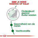 Royal Canin Hondenvoer Mini Ageing 12+ 1.5 kg