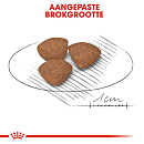 Royal Canin Hondenvoer Mini Puppy 800 gr