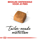 Royal Canin Kattenvoer Persian Kitten 2 kg