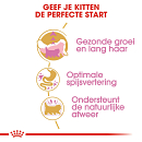 Royal Canin Kattenvoer Persian Kitten 2 kg