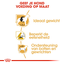 Royal Canin Hondenvoer Beagle Adult 3 kg