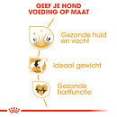 Royal Canin Hondenvoer Cocker Adult 3 kg