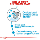 Royal Canin Hondenvoer Giant Puppy 15 kg