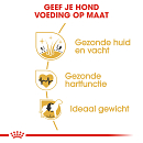 Royal Canin Hondenvoer Golden Retriever Adult 12 kg