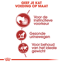 Royal Canin Kattenvoer Instinctive in Gravy <br>12 x 85 gr