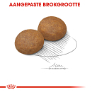 Royal Canin Hondenvoer Maxi Adult 5+ 4 kg