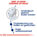 Royal Canin Hondenvoer Maxi Ageing 8+ 3 kg