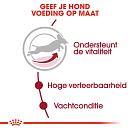 Royal Canin Hondenvoer Medium Adult 7+ 4 kg