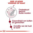 Royal Canin Hondenvoer Medium Ageing 10+<br> 3 kg