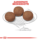 Royal Canin Hondenvoer Medium Puppy 4 kg