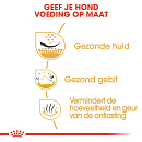 Royal Canin Hondenvoer Shih Tzu Adult 7.5 kg