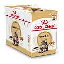 Royal Canin Kattenvoer Maine Coon Adult <br>12 x 85 gr
