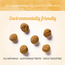 Antos Insecta Krekel & Zoete Aardappel 100 gr