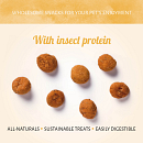 Antos Insecta Zijderups & Wortel 100 gr