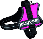Julius K9 Powerharness fuchsia
