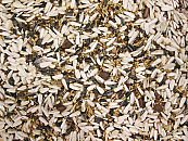 Papegaaienvoer Speciaal 20 kg