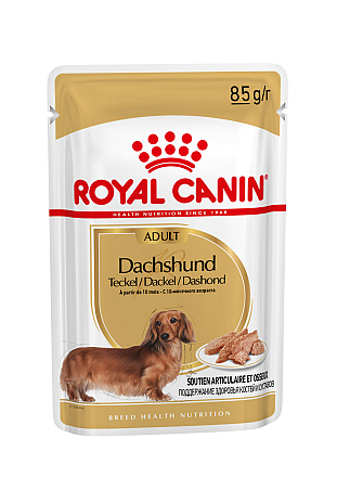 Royal Canin Hondenvoer Dachs-hund Adult 12 x 85 gr
